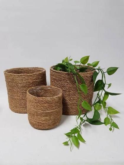 Sell natural seasrass planter baskets