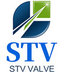 Stv Valve Technology Group Co.,Ltd Company Logo