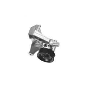 Wholesale auto pay machine: Auto Parts Power Steering Pump Professional Producer for Fiat OEM 504046460