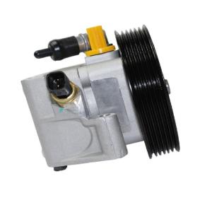 Wholesale Pumps: Auto Parts Steering System Power Steering Pump for Ford OEM 1306888