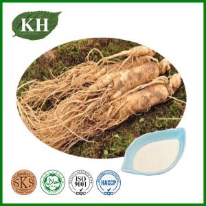 Wholesale panax ginseng: Immunity Enhancement Ginseng Root Extract 10% 30% 40% 60% 80% Ginsenosides