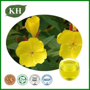 Wholesale evening primrose oil: Pure Natural Evening Primrose Oil