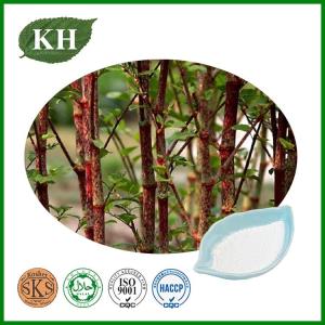 Wholesale anti-oxidant: Anti-Oxidant Anti-Inflammatory Polygonum Cuspidatum Extract Resveratrol
