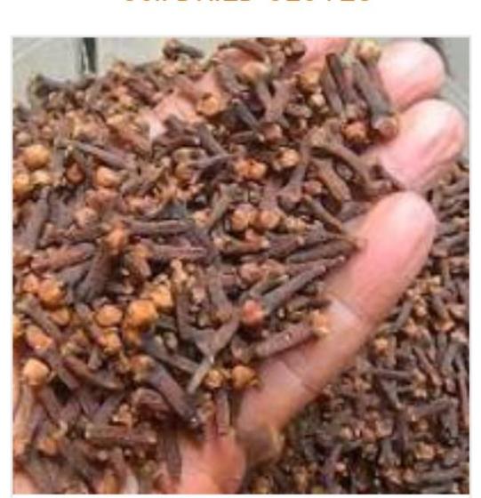 Available Sell DRIED CLOVES(id:11803785) Product details - View ...