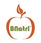 BNatrl Company Logo
