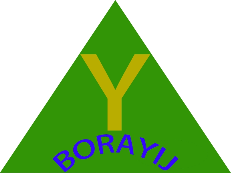 Guangzhou Borayij Industry Technology Co.,Ltd Company Logo
