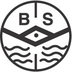 Bo Sung Silicone Co., Ltd. Company Logo