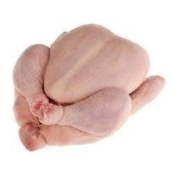 Wholesale Meat & Poultry: Fresh and Frozen Chicken