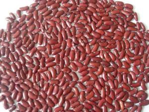 Wholesale almonds: Red Kidney Beans