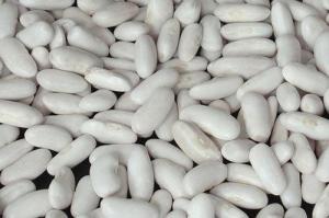 Wholesale sizing: White Kidney Beans