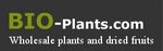Braus Com LTD Company Logo