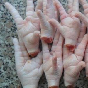 Wholesale Meat & Poultry: SIF Approved Wholesale Top Grade Frozen Chicken Paws for Sale in Cheap Rate From Brazil