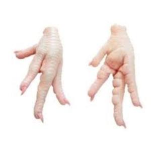 Wholesale paws: Top Quality Frozen Chicken Paws & Feet Manufacturers - Brazil Chicken