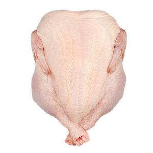 Wholesale one grade: Quality Brazil Halal Grade One Chicken Feet / Frozen Chicken Paws Brazil/CHicken Wings