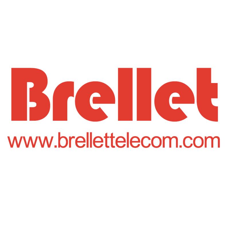 Shanghai Brellet Telecommunication Technology Co., Ltd. Company Logo