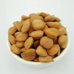 Wholesale quality standard: Bulk Kenyan Bitter Apricot Kernels Almond Nuts