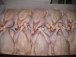 Wholesale frozen chicken: Halal Frozen Whole Chicken ,Feet, Paws, Wings, Legs, Gizzards and All Other Chicken Parts for Sale