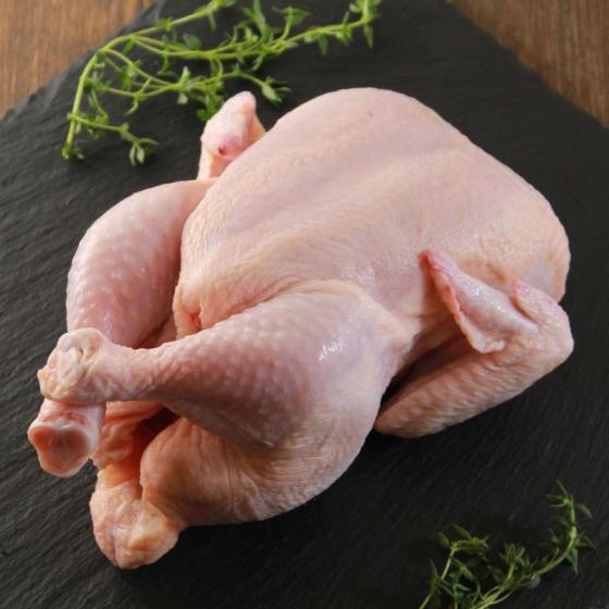 Sell halal frozen whole chicken