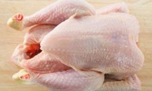 Wholesale frozen chicken: Frozen Chicken