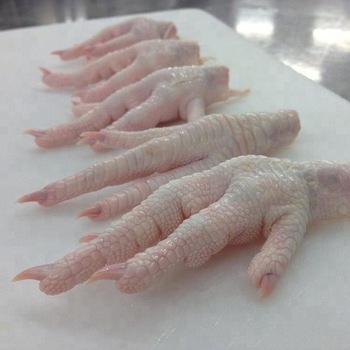 Sell Frozen Processed Brazil Chicken Feet and Paws (SIF)