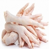 Wholesale pads: HALAL Frozen Chicken Feet , Whole Chicken Paws for Sale