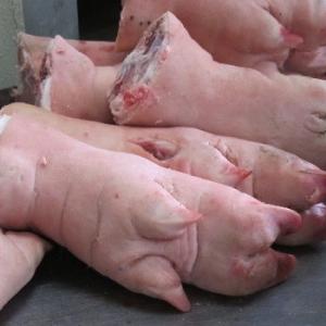 Wholesale black label: Grade A+ Quality Frozen Porks Meat / Porks Hind Leg / Porks Feet Available in Stock