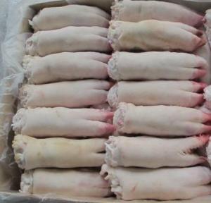 Wholesale health: Frozen Pork Feet/Pork Hind Feet/Pig Feet/Pig Hind Feet