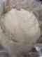 Buy Sodium Borohydride Powder Online Cas 16940-66-2