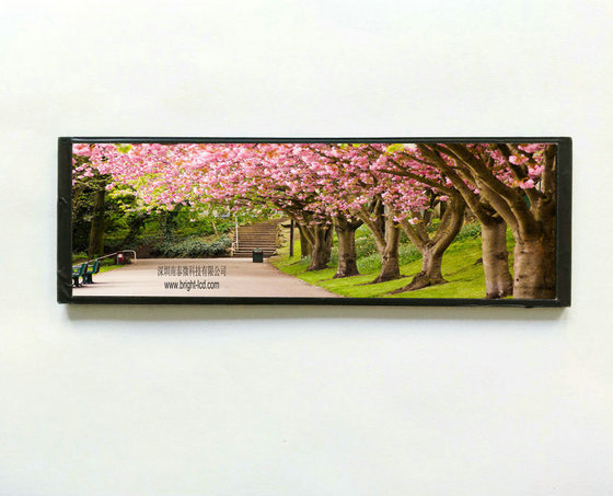 6.86inch TFT LCD with 1280x480 480x1280 Resolution for Car Rearview ...