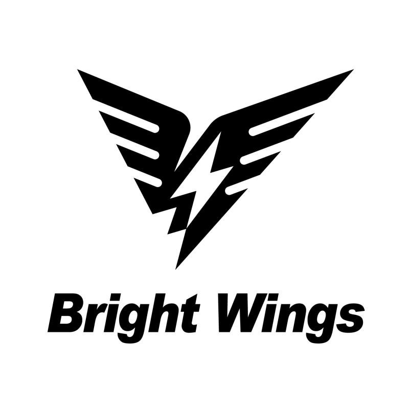 Dongguan Bright Wings Technology Co., Ltd.