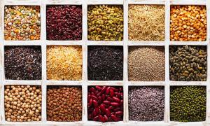Wholesale dried soybean seeds: Rice, Barley, Wheat, Flour, Oats, Sugar, Pulses and Cereals