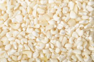 Wholesale animal: Organic White and Yellow Corn/Maize for Human and Animal Feed for SALE