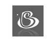 Bs International Company Logo