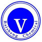 Pingxiang Baisheng Chemical Packing Co., Ltd Company Logo