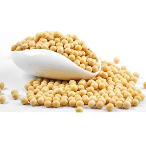 Wholesale cheap paper: Soybeans