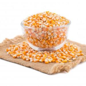 Wholesale mercury: Natural Yellow Dried Maize