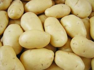 Wholesale peanut: Fresh Holland Potato