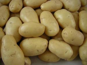 Wholesale Fresh Vegetables: 2015 Fresh Holland Fresh Potato