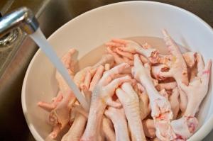 Wholesale Meat & Poultry: Grade A Frozen Chicken Feet&Paws