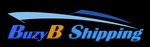 Buzyb Shipping Agencies Private Limited Company Logo