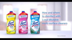Wholesale kitchen: Lysol Power and Fresh Multi-Surface Cleaner
