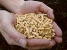 Wholesale combustible: Biomass Wood Pellet Making Plant