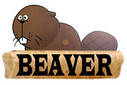 Beaver,Korea Company Logo