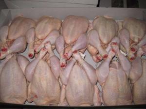 Wholesale bag: Frozen Whole Chicken/ Feet/Paws/ Wings/ Chicken Legs Available