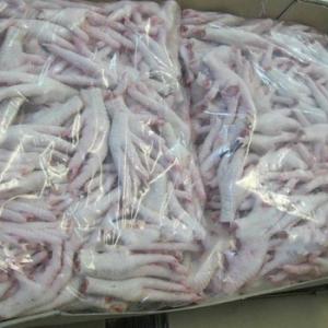 Wholesale frozen chicken wings: Frozen Chicken Paw/Chicken Feet/Whole Frozen Chicken/Chicken Wings