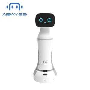 Wholesale Other Manufacturing & Processing Machinery: Smart Guide Service Robot Suitable for Hospital, Hotel, Exhibition Hall, Bank