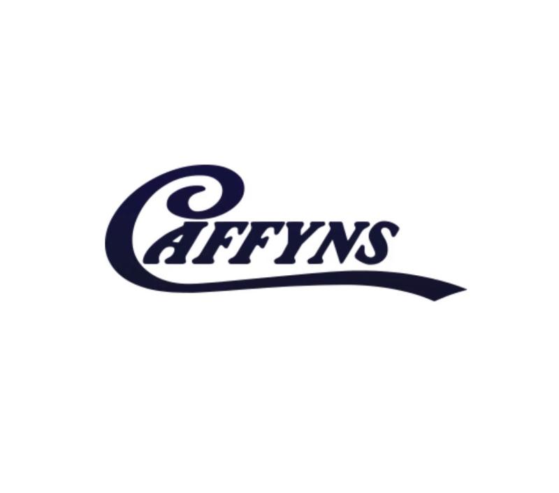 Caffyns Lotus Sussex