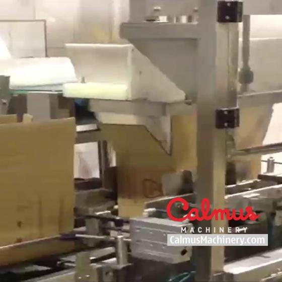 Sell Fully-automated Bag in Box Filling Packaging Line