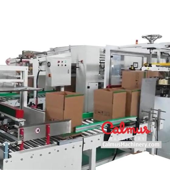 Sell Case Erector Bag Inserter For Forming Lined Boxes