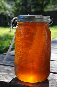 Wholesale bee honey: Organic Bee Honey Product
